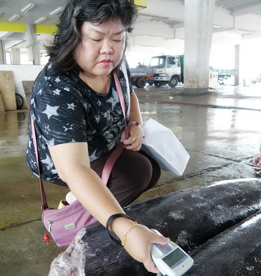 屏東黑鮪魚季將登場檢測過才能上場拍賣(圖)