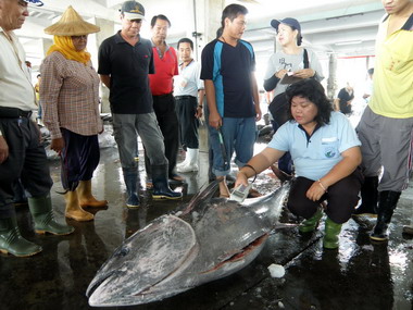 東港第一尾黑鮪魚入港拍賣(圖)