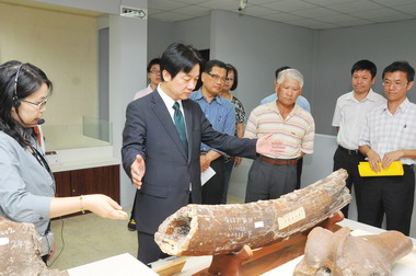 賴清德參觀左鎮化石館 自然史教育館(圖)