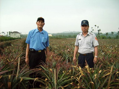 斗南分局成立鳳梨守護天使(圖)