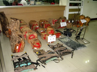 山老鼠集團被逮(圖)