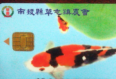 農會6月30日起全面停用磁條金融卡(圖)