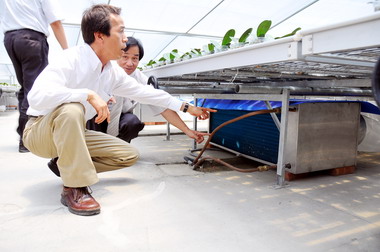 台南打造產銷平台 台灣二代蘭花蓄勢待發(圖)