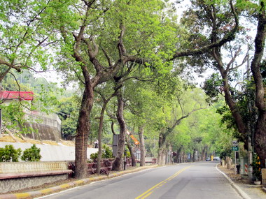 集集鐵路6月底前確定會通車(圖)