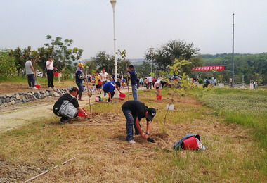 中鋼公司舉辦孝親植樹活動(圖)