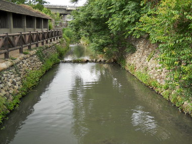 旱象中 霧峰區泉水埤得天獨厚一潭池水(圖)
