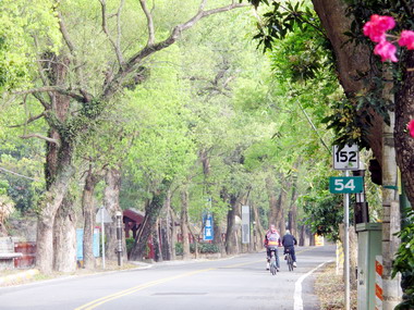 集集6月辦尋寶夏遊記(圖)