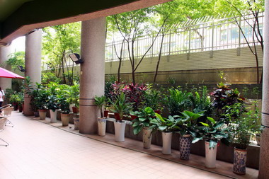 台中東區公所生態後花園讓人好溫馨(圖)