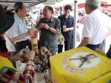基隆辦理樹梅節採筍嚐梅賞桐花活動(圖)