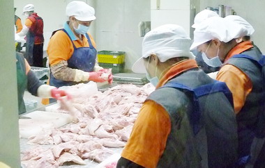 花蓮國小營養午餐肉品查核ALL PASS(圖)