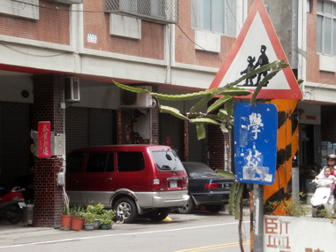 台中交通行人行標誌被火龍果樹遮蔽(圖)
