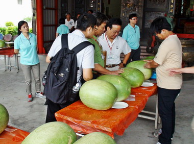 苗栗崎頂西瓜節登場 「寶華西瓜」免費嘗鮮(圖)