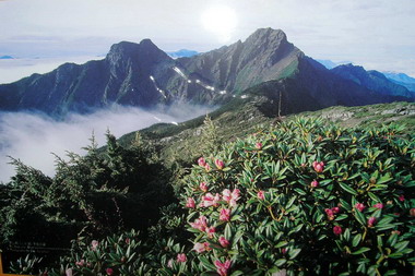 世界新七大自然奇景競選投玉山一票(圖)