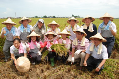 張花冠率縣府主管割稻慶豐收(圖)