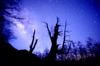 塔塔加星空LIVE音樂饗宴(圖)