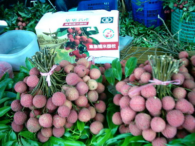 集集鎮農會100年度糯米荔枝品質評鑑(圖)