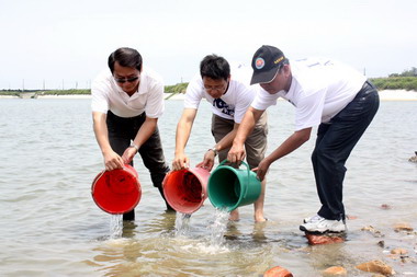 苗栗配合海洋觀光季在後龍滯洪池放流魚苗(圖)