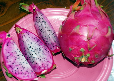 屏東研發雙色果肉紅龍果吃過都說讚！(圖)