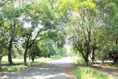 台南開發東區副都心 林欽榮勘查平實營區(圖)