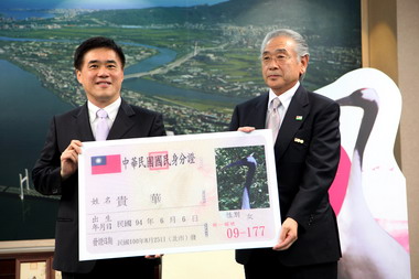 日本贈丹頂鶴 北市府將派團前往北海道迎回(圖)