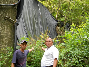 霧峰區桐林里中坑溪橋一帶駁崁岌岌可危(圖)