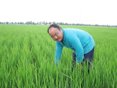 割稻仔尾高手蘇明竹將參加 全國大賽(圖)