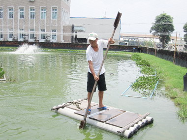 屏東秋風起吃大閘蟹正是時候(圖)