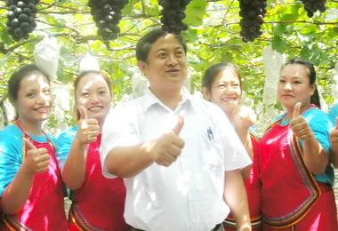 南投玉山葡萄嘉年華會葡萄果園登場(圖)