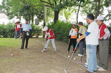 斗六老人會辦「重陽盃」槌球錦標賽(圖)