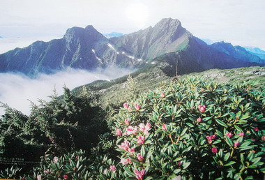 自然奇景投票將截止玉管處盼鄉親加持(圖)