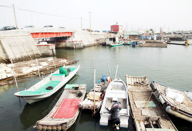 台南漁港年年入圍十大魅力漁港(圖)
