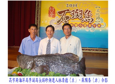 高市推廣石斑魚養殖「石斑達人」(圖)