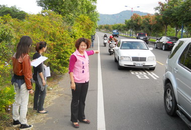 太平太堤西路行道樹擋住慢車道車禍不斷(圖)