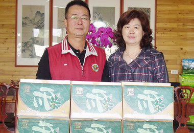 規模最大冬茶展售會31日盛大登場(圖)