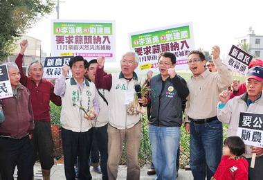 縣府：蒜頭為「遲發性災害」應納入補助(圖)