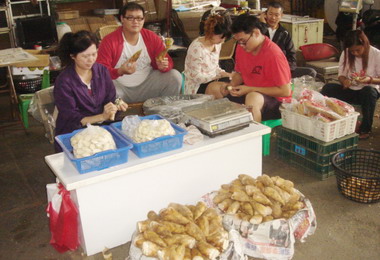 南投新鮮冬筍上市(圖)