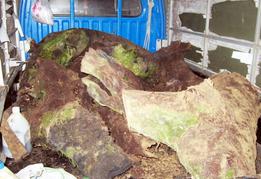 竹山分局查獲盜伐牛樟木與逃逸外勞(圖)