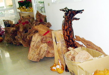 集集警方查獲毒品控制盜伐珍稀林木集團(圖)