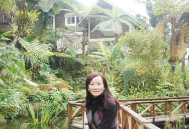 叢林裡歐式小木屋新度假勝地(圖)