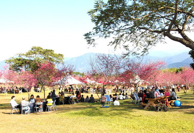 埔里暨大14日辦賞花交流活動(圖)