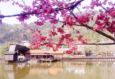 水里秘密花園具浪漫情境(圖)