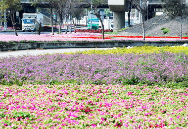 縣府持續美化市容讓彰化變美麗(圖)