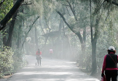 竹市十八尖山賞花區3月3日正式登場(圖)