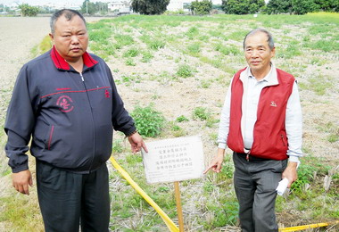大里驚傳農地遭重金屬污染(圖)