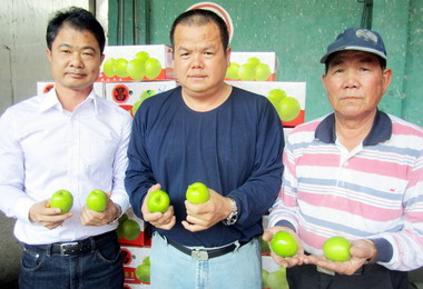 屏縣春節銷陸農產約200公噸(圖)