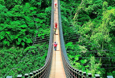 春暖花開滿眼綠竹山天梯健行最適宜(圖)