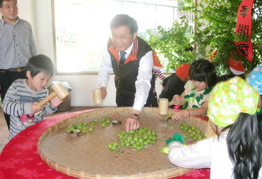 水里公所24日辦免費製梅DIY活動(圖)