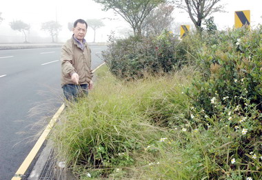台中議員批特三道路養護一國二制(圖)