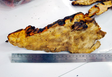 林警聯手查獲竊盜百萬香杉芝(圖)