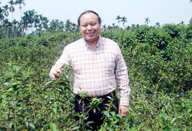 鹿谷農會 凍頂社二場世界級春茶賽開跑(圖)